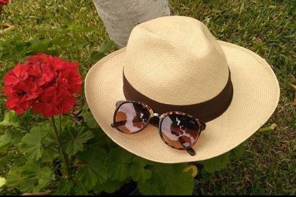 Rethinking the Panama Hat: Colombia's Sombrero Aguadeño