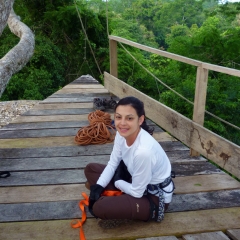 At the rainforest canopy