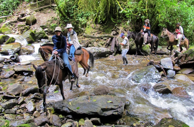 Stream crossing in Cocora Valley