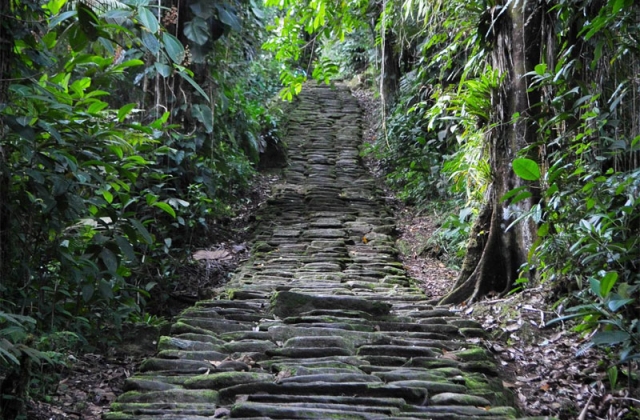 Paved pathway at Ciudad Perdida