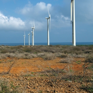 Molinos de viento en La Guajira