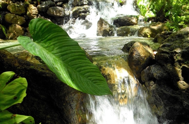 Check out the breathtaking Kawasan Falls during your Cebu adventure.