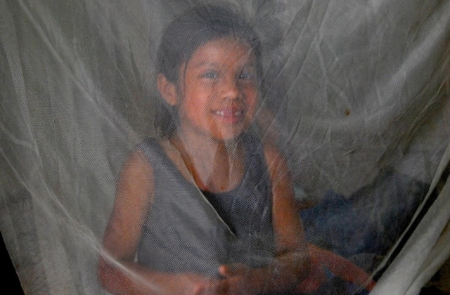Mosquito nets are a great way to prevent mosquito bites in your sleep. 