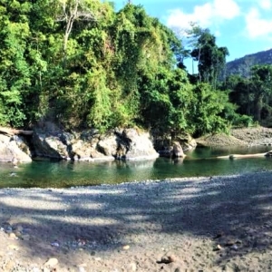 Dumangueña river