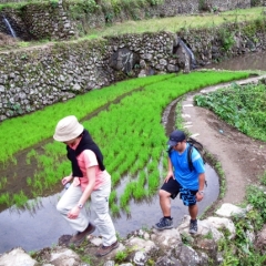 Caminando por las terrazas de arroz de Batad en Banaue