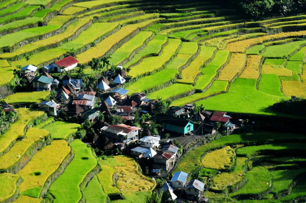 Three things you didn't know about the Banaue Rice Terraces