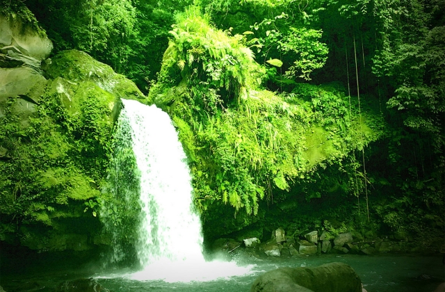 The pristine and delicate Taytay falls
