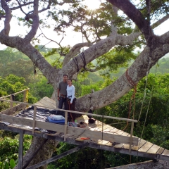 Platform on the rainforest canopy