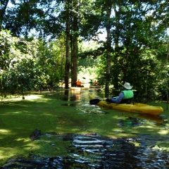 En kayak por la selva tropical