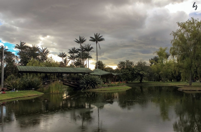 Bogotá's botanical garden