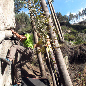 Traverse boulder problem in Sutatausa