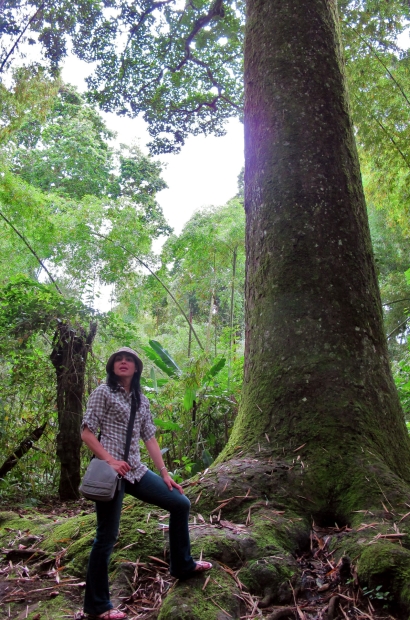 Exploring Quindío