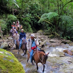 Cruzando un río