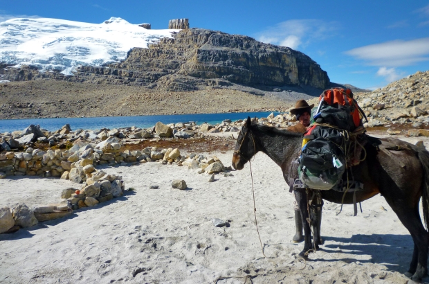 Pack mule at the campsite