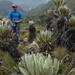 Caminado sobre el Páramo