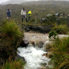 Taking a break at a mountain stream