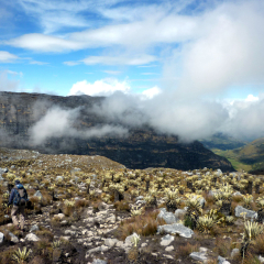Hiking amidst clouds and frailejones