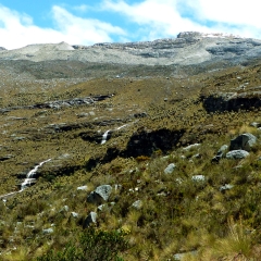 A view of the paramo with a snowy peak in the distance
