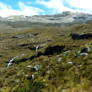 A view of the paramo with a snowy peak in the distance