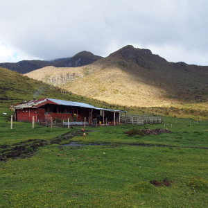 Berlin farm