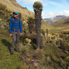 Hiking through the páramo