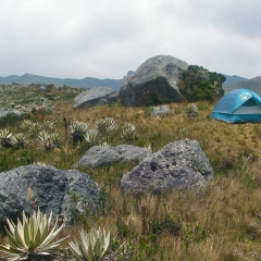 Acampando en una colina