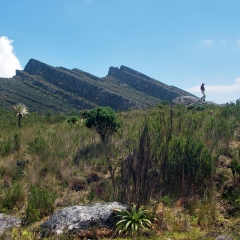 Montañas en capas en el fondo