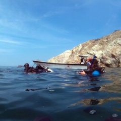 At the surface, Isla Aguja in the background