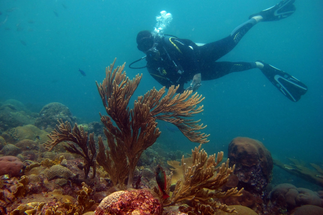 Posing with corals