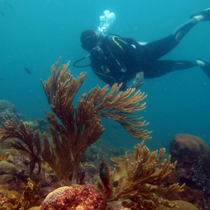 Posing with corals