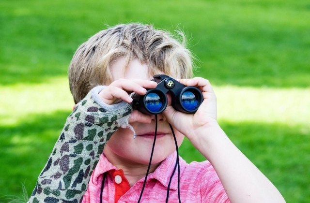 Birding is an activity that rewards those who wait. 