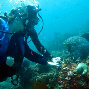 Tocando un lirio marino