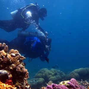 Underwater tour