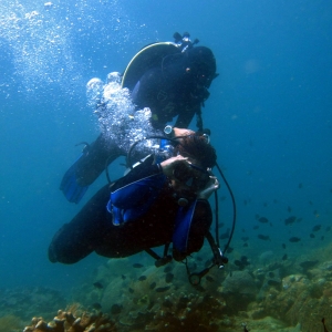 Underwater tour