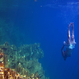Taking a dive in the country's cleanest lake