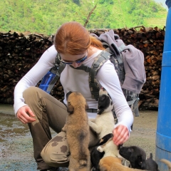 Cachorros nativos de Batad