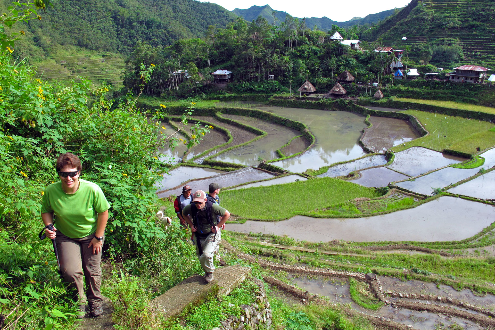 Arrozales en Batad