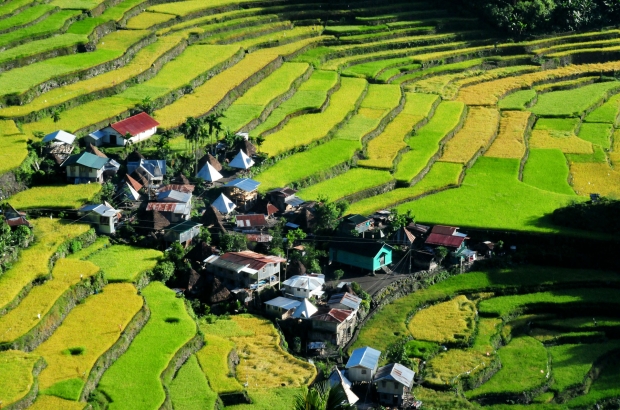 Terrazas de arroz en Batad