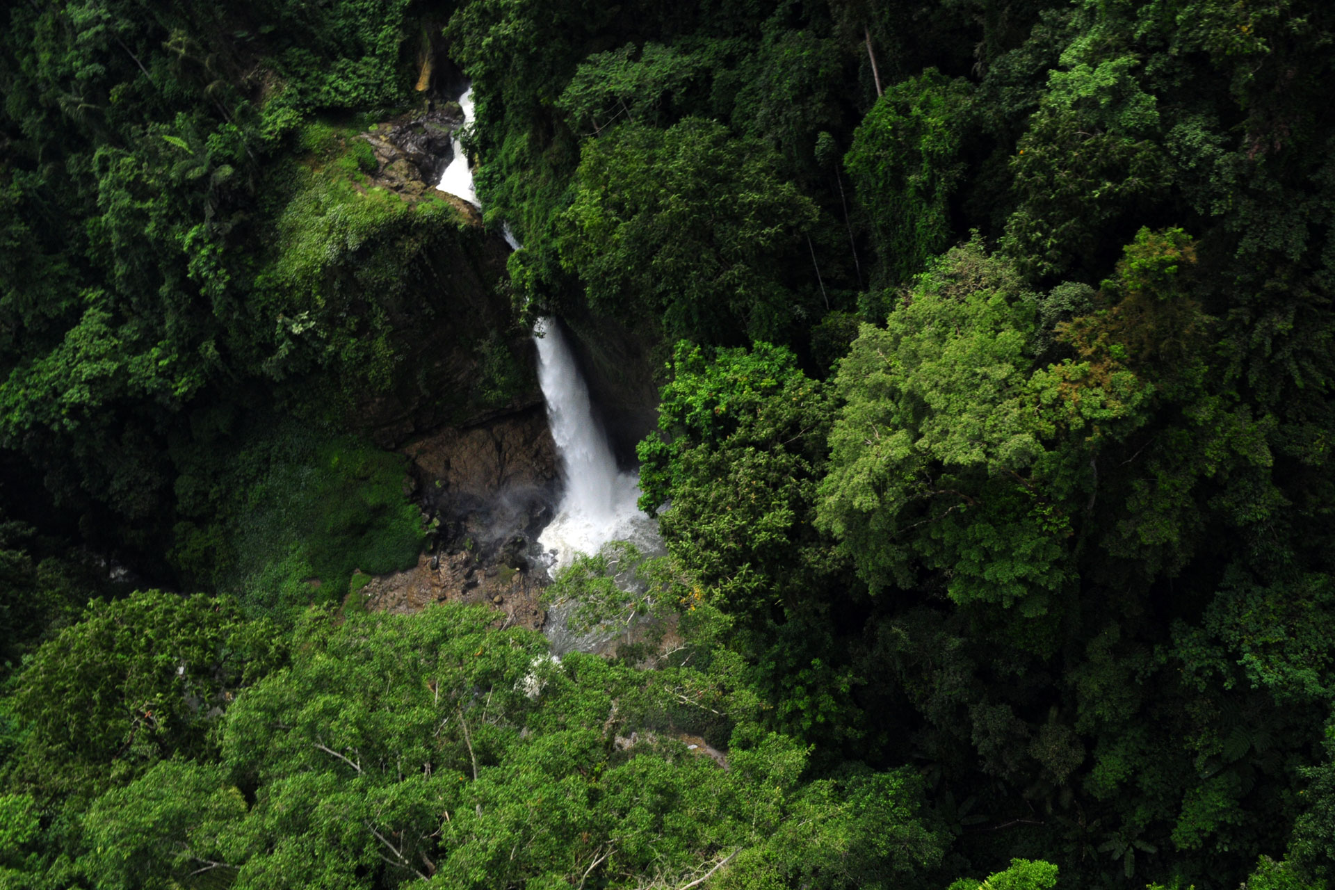 Arriba de una de las Siete Cascadas al Lago Sebu