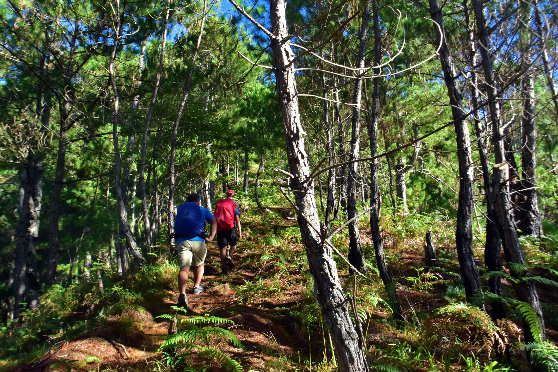 Hiking through the mountains of Maligcong