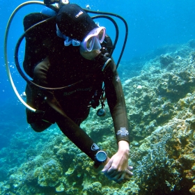 Curso Avanzado de Buceo NAUI