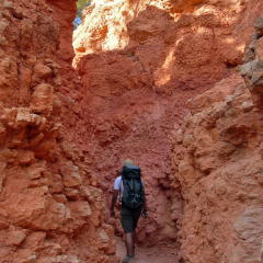 Hiking in Bryce Canyon