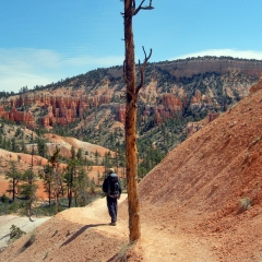 Hiking in Bryce Canyon