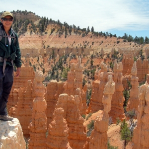 A sea of hoodoos
