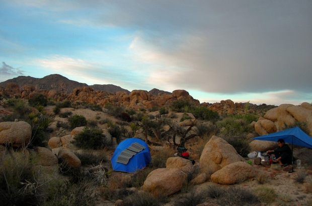 Acampando en el Parque Nacional de Árboles de Josué