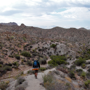 Hiking in Joshua Tree National Park