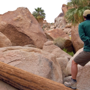 Scrambling over rocks at Joshua Tree