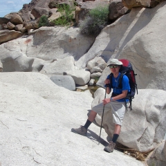 At Rattlesnake Canyon, Joshua Tree National Park