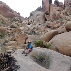 Descansando en el Parque Nacional de Árboles de Josué