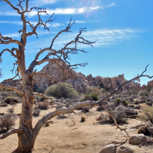 Climbing playground